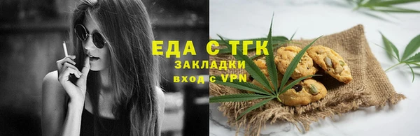 дживик Бородино