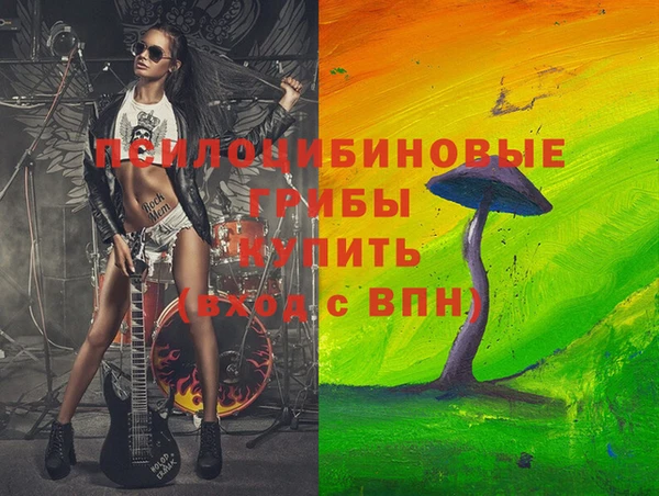 МДПВ Жердевка
