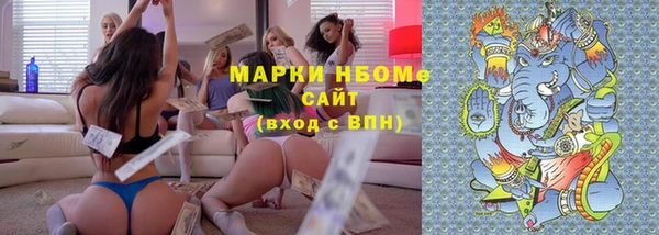 дживик Бородино