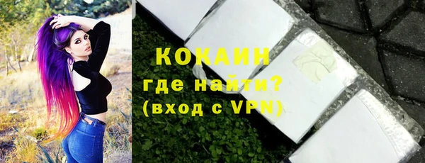 дживик Бородино